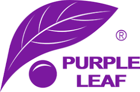 Purple Leaf US logo